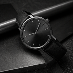 Arc Minimal Automatic Watch